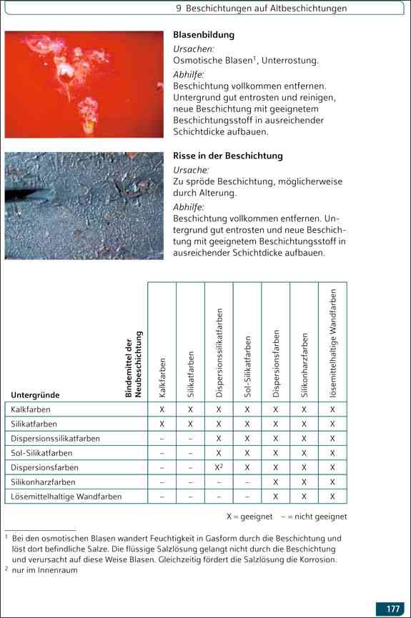 Das Meisterbuch für MalerInnen und LackiererInnen