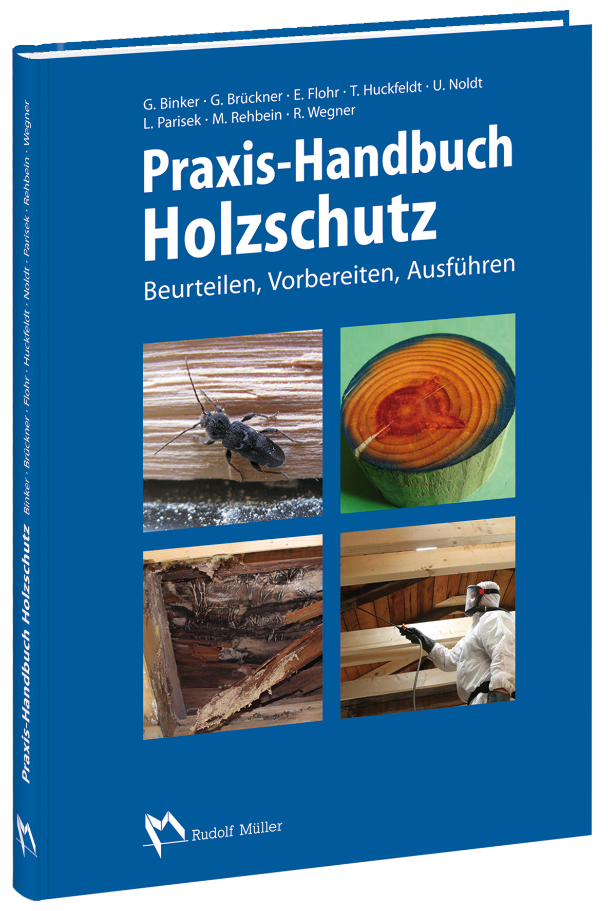 Praxis-Handbuch Holzschutz