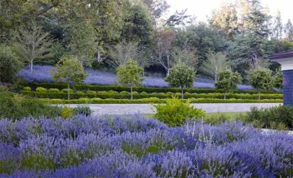 Modernes Gartendesign.
