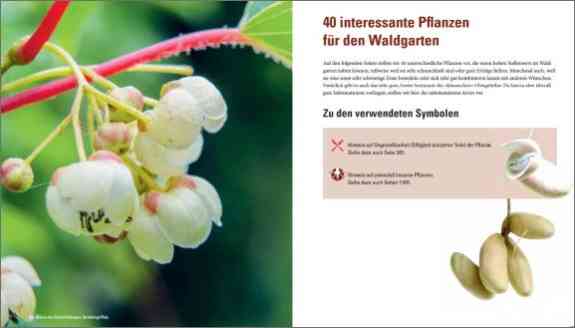Praxisbuch Waldgarten