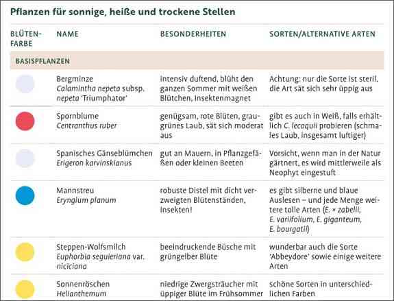 Wächst nicht gibt`s nicht