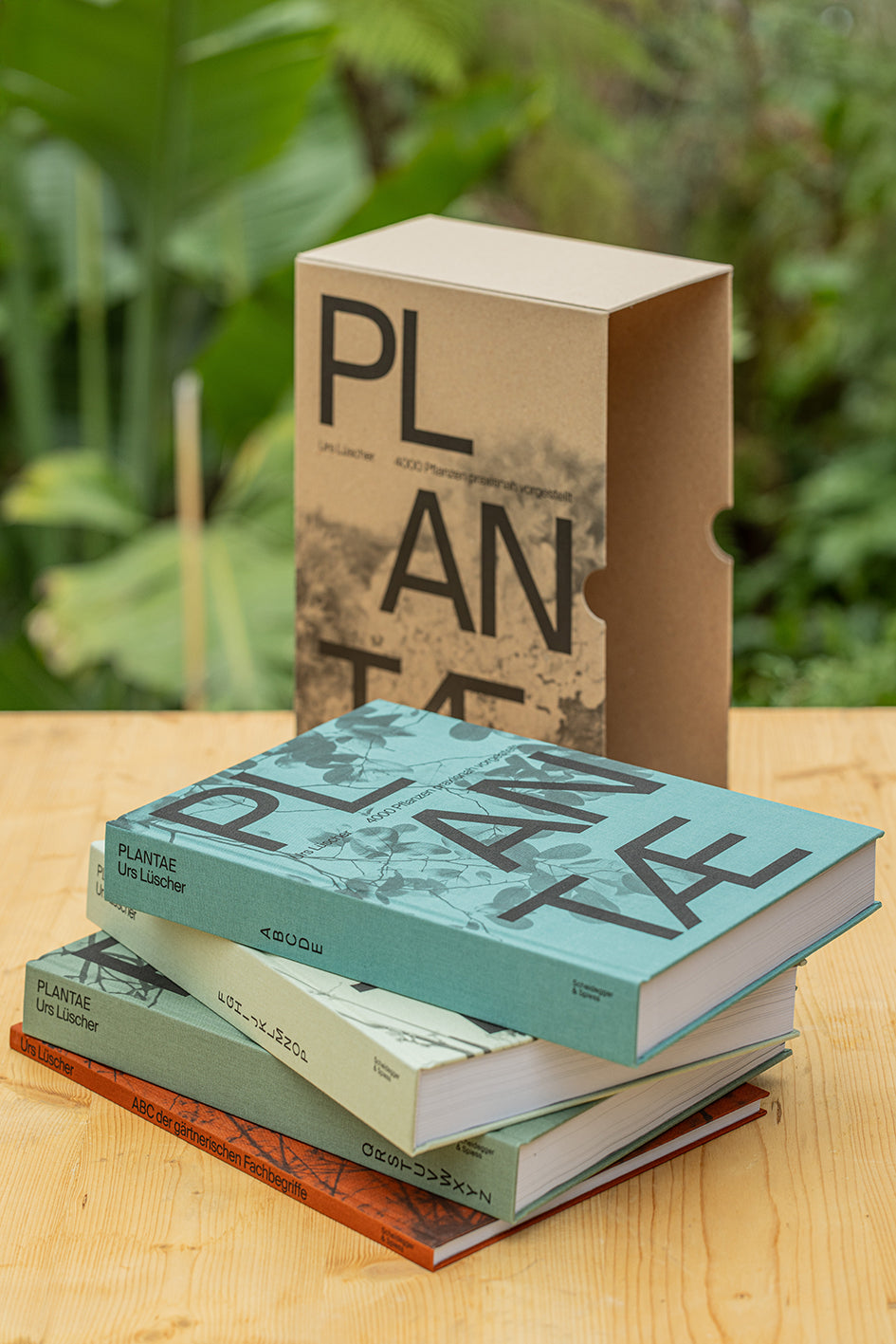 Plantae