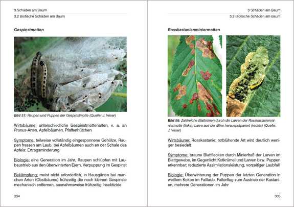 Das 1x1 der Baumkontrolle.