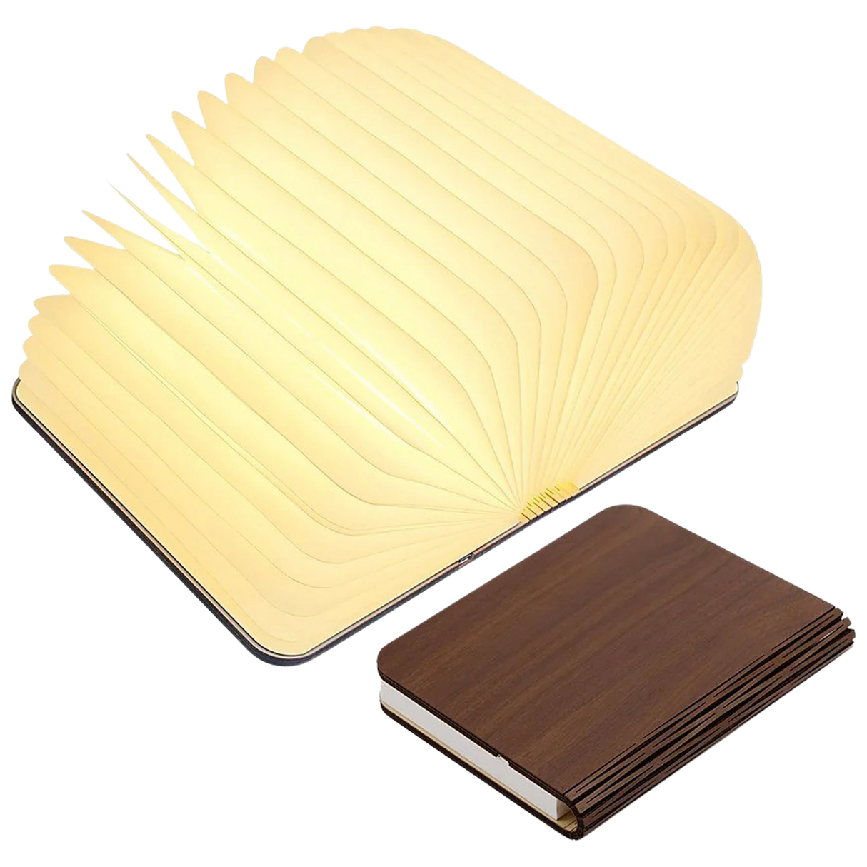 Buch-Lampe LED Groß.