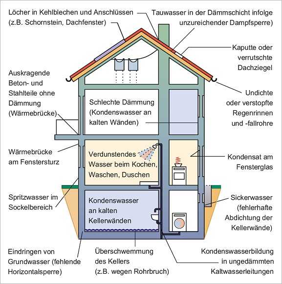 Wohnraumschimmel