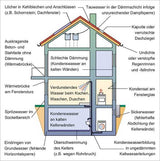 Wohnraumschimmel