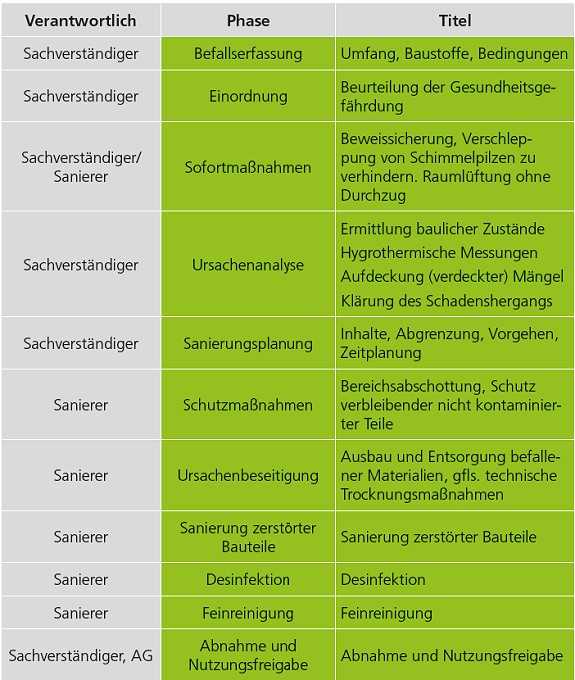 Wohnraumschimmel