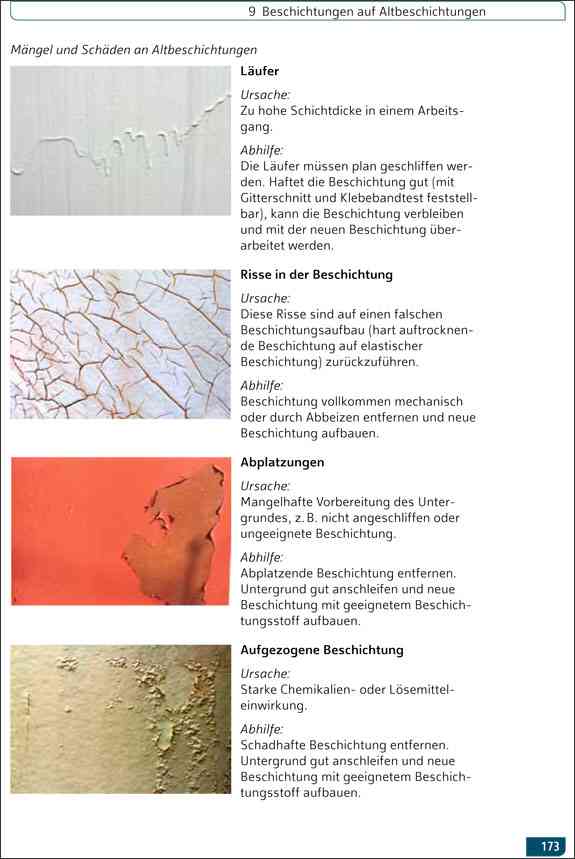 Das Meisterbuch für MalerInnen und LackiererInnen