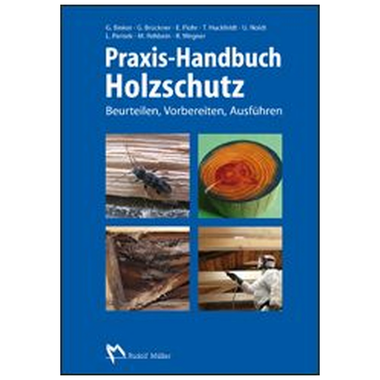 Praxis-Handbuch Holzschutz