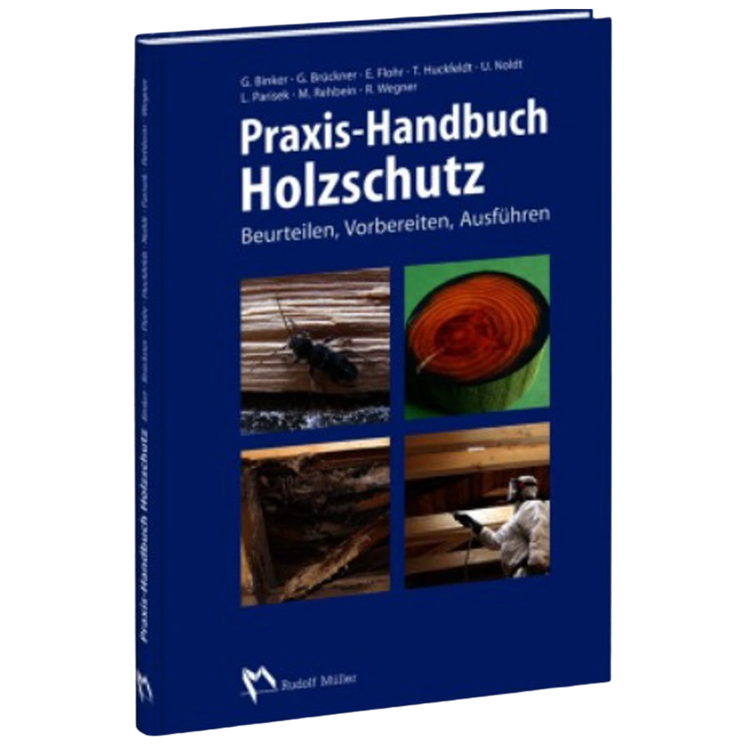 Praxis-Handbuch Holzschutz