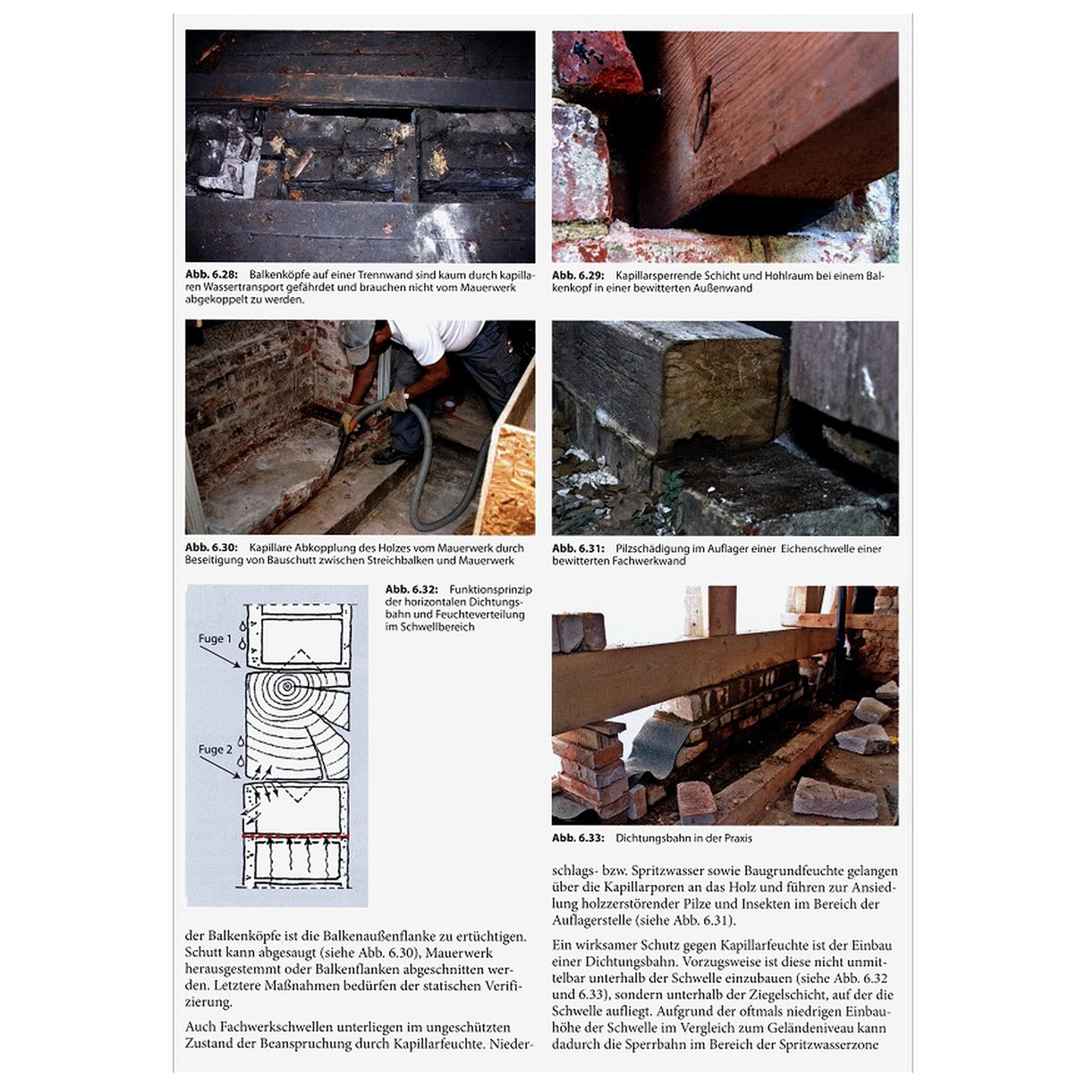 Praxis-Handbuch Holzschutz