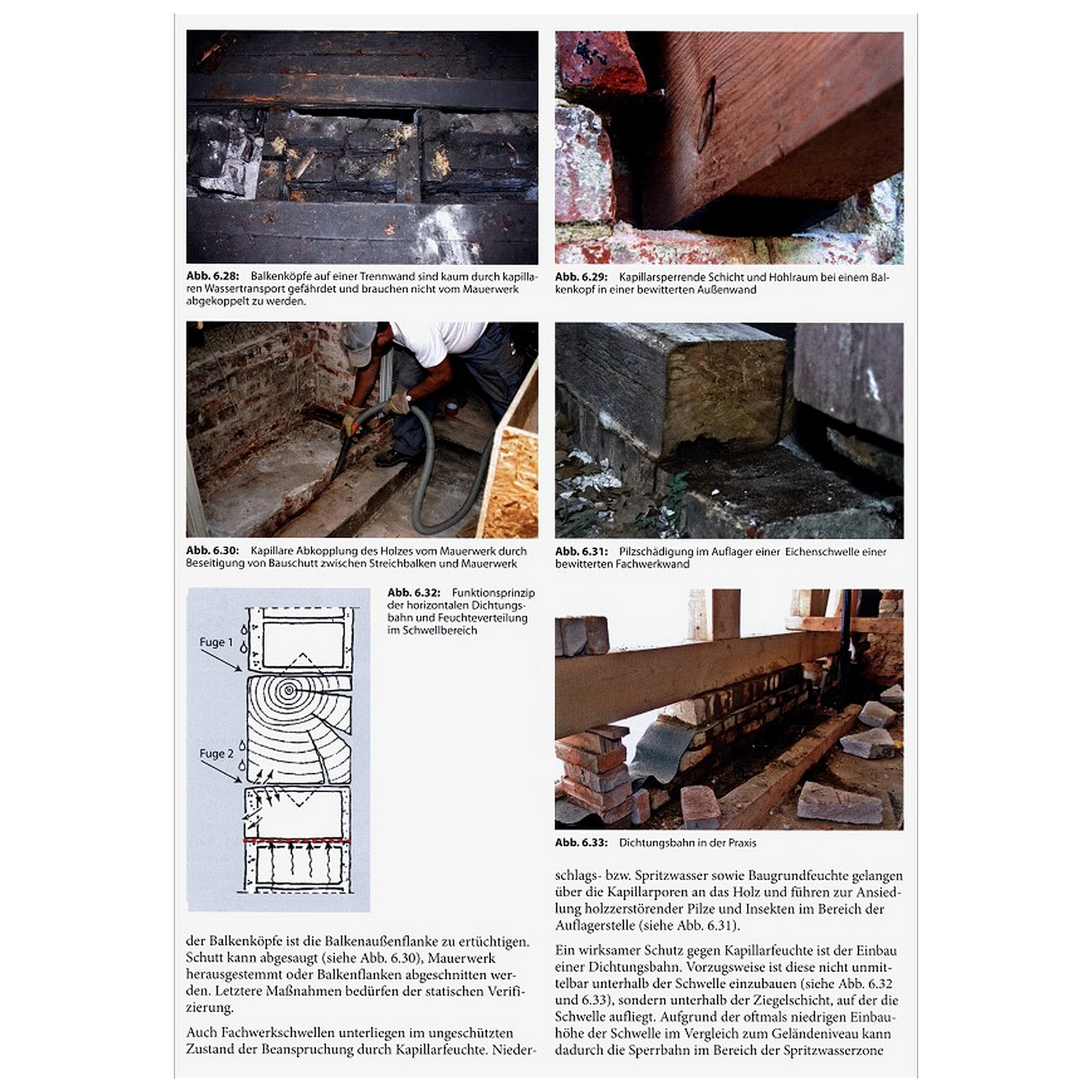 Praxis-Handbuch Holzschutz