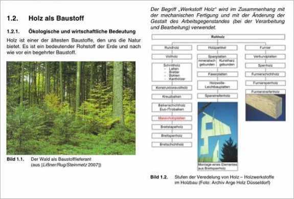 Holzbau