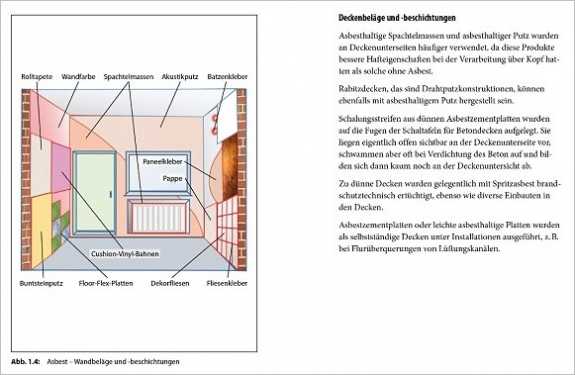 Gebäudeschadstoffe im Bild