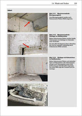 Schadstoffe im Baubestand