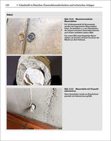 Schadstoffe im Baubestand