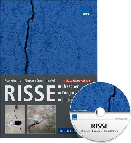 Risse Ursachen Diagnostik Instandsetzung Buch