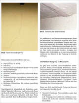 Risse: Ursachen – Diagnostik – Instandsetzung