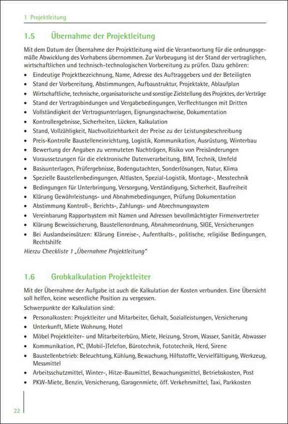 Der Projektleiter