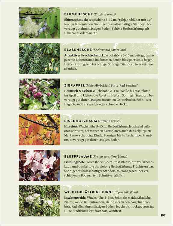 So wird der Garten fit fürs Klima
