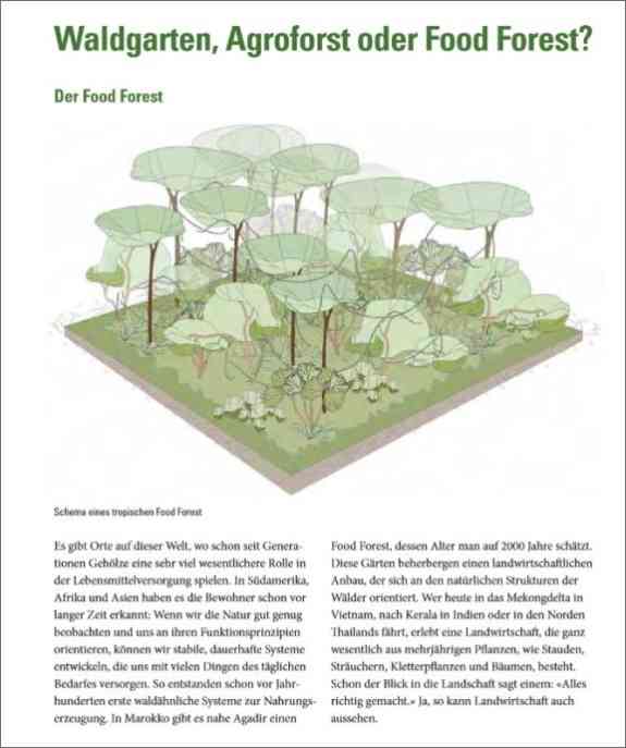 Praxisbuch Waldgarten