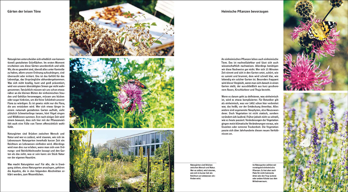 Der gestaltete Naturgarten