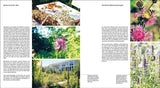 Der gestaltete Naturgarten
