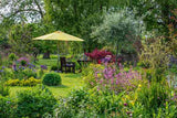 Stauden im Garten