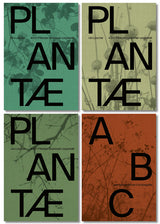 Plantae Urs Lüscher Pflanzenhandbuch