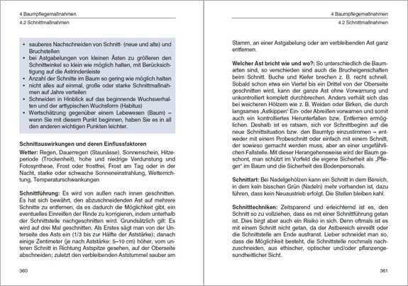 Das 1x1 der Baumkontrolle.