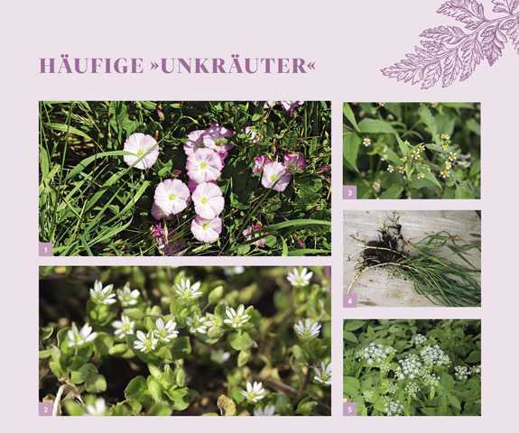 Das große Praxishandbuch Garten