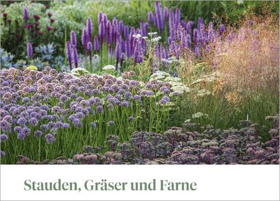Das große Praxishandbuch Garten