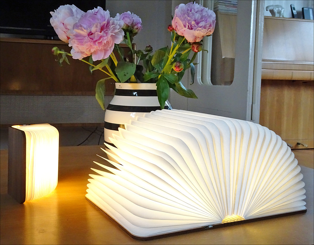 Buch-Lampe LED Klein