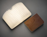 Buch-Lampe LED Klein