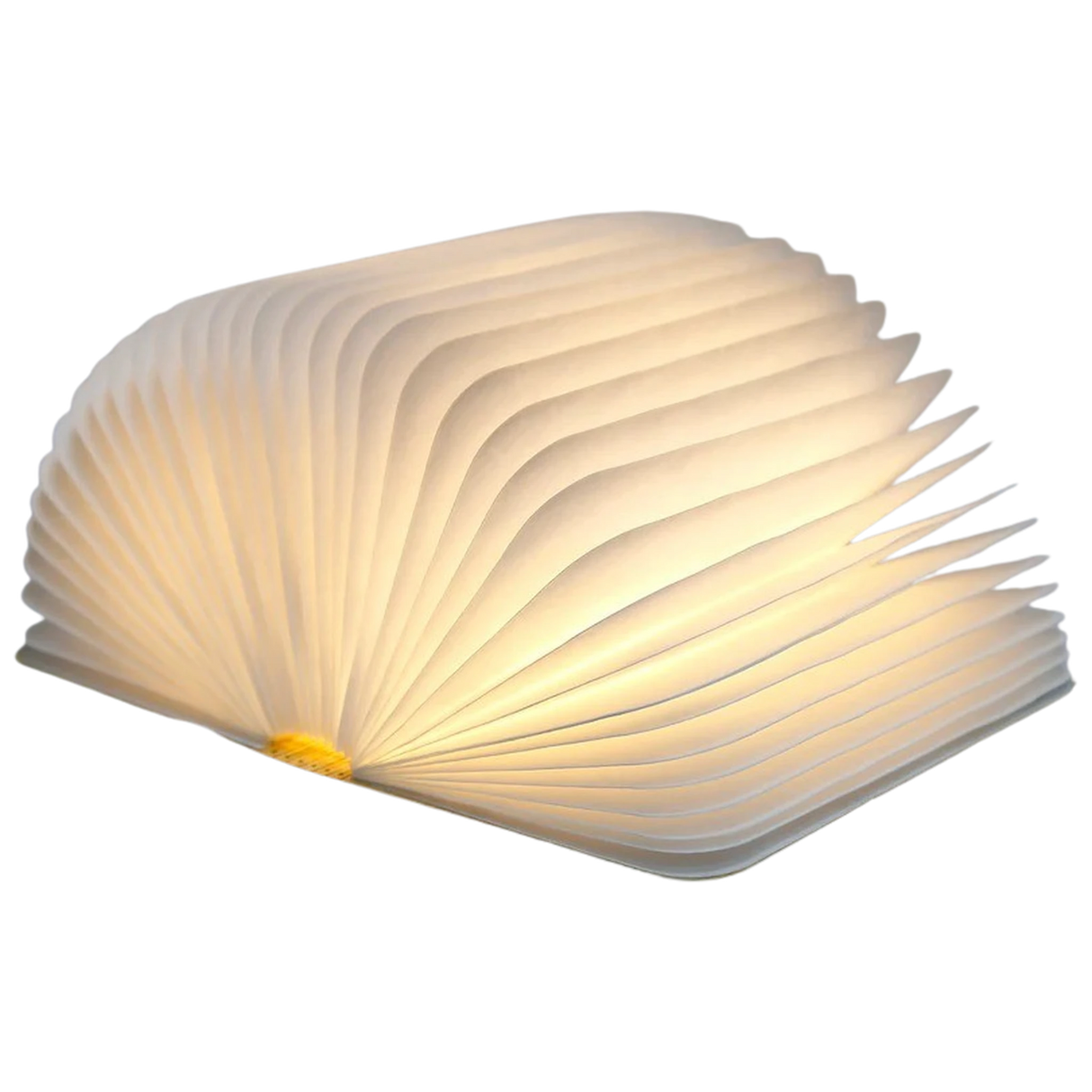 Buch-Lampe LED Groß.