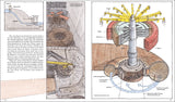 David Macaulay's großes Buch der Bautechnik